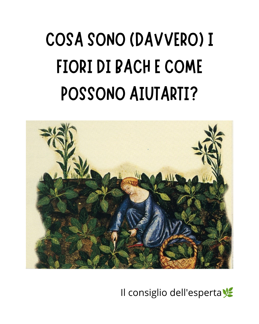 Fiori di Bach